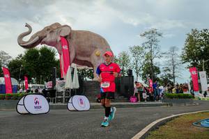 BIB: 
                            <button type="button" onclick="openModal(26528847)" class="btn btn-primary btn-sm float-right btn-popup" data-toggle="modal" data-target=".modal-high-quality">
                        <i class="fas fa-shopping-cart"></i> Add to Cart
                    </button>
                                            <button type="button" onclick="isThisMe(26528847, true)" class="btn btn-success btn-sm float-right btn-popup btn-isme hidden" data-toggle="tooltip" data-placement="bottom" title="นี่คือรูปของคุณใช่ไหม คลิกที่นี่เพื่อเอาเข้าอัลบั้ม">
                        <i class="fas fa-plus"></i> Add to album
                    </button>
                    <button type="button" onclick="isThisMe(26528847, false)" class="btn btn-warning btn-sm float-right btn-popup btn-isnotme hidden">
                        <i class="fas fa-ban"></i> Remove from album
                    </button>